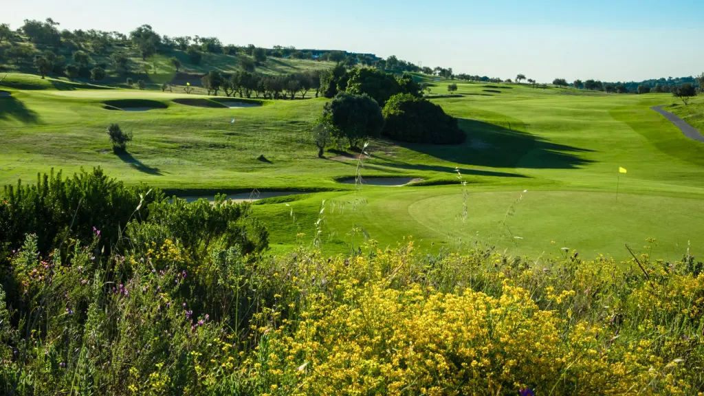 morgado-golf-42.webp