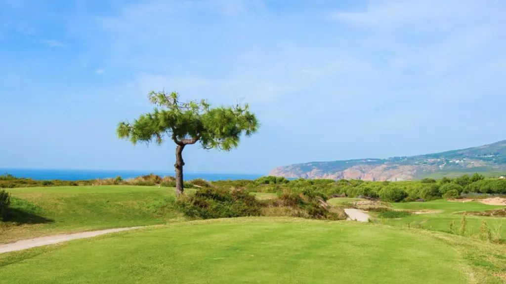 Oitavos-dunes-golf-38.webp