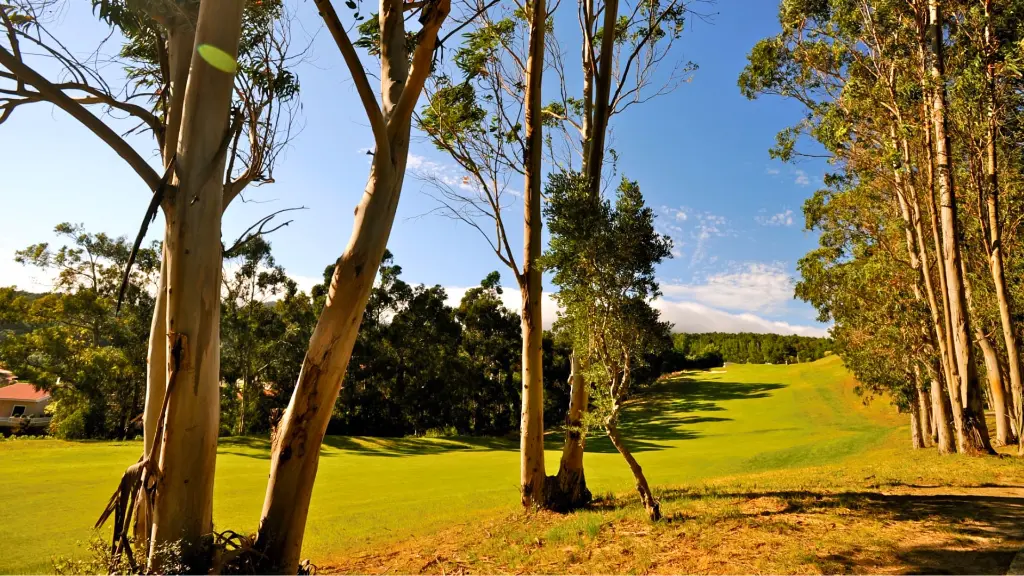 penha-longa-golf-16.webp