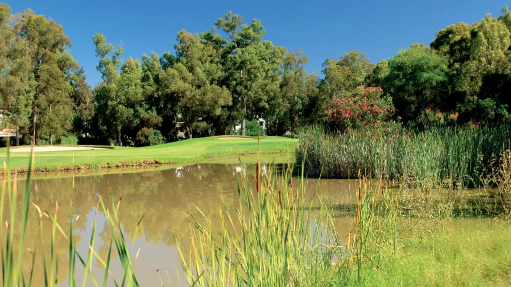 penina-golf-32.webp