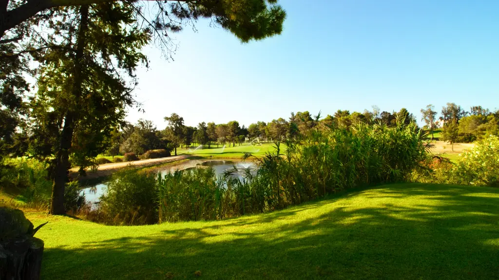 alto-golf-36.webp