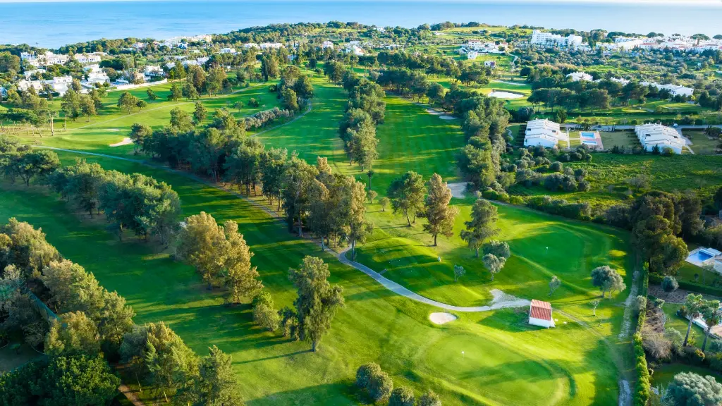 alto-golf-2.webp