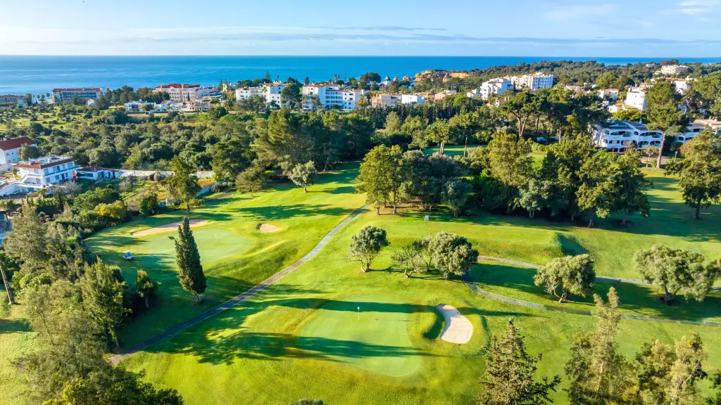 alto-golf-11.webp