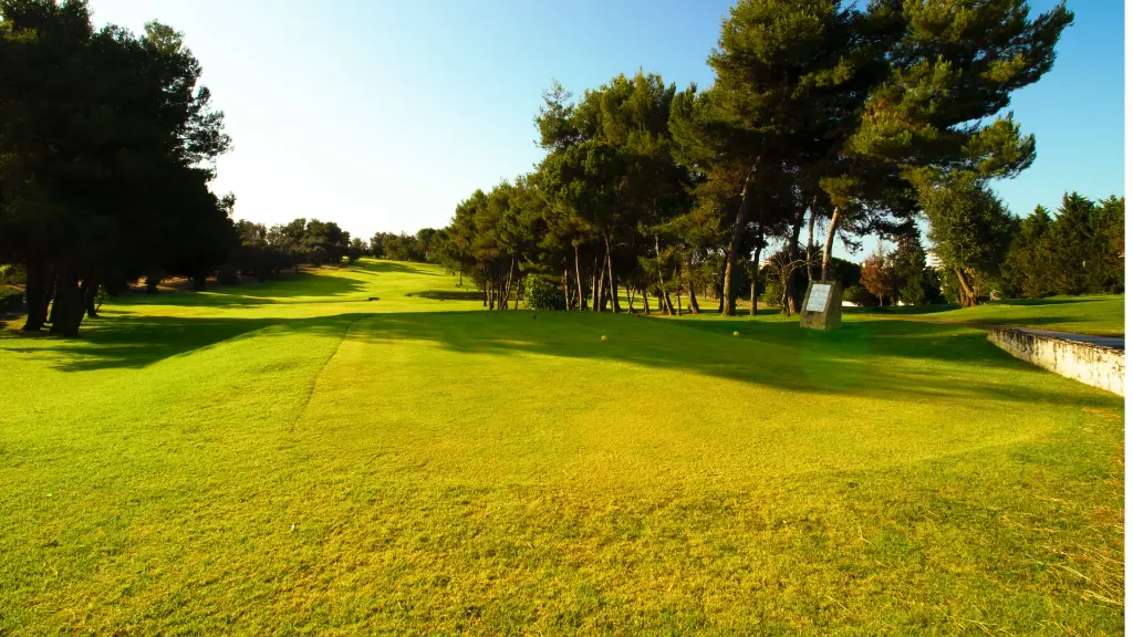 alto-golf-35.webp