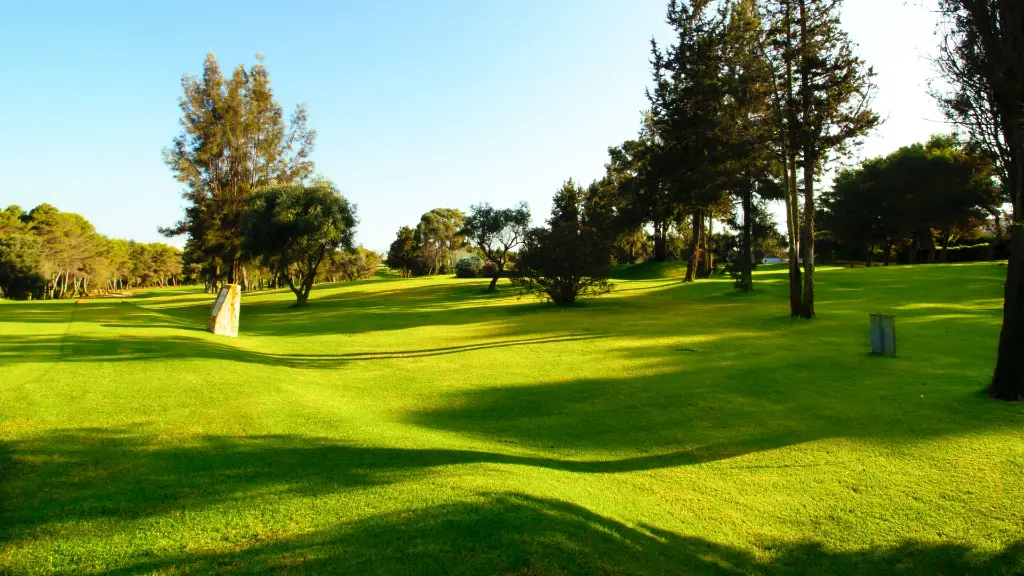 alto-golf-17.webp