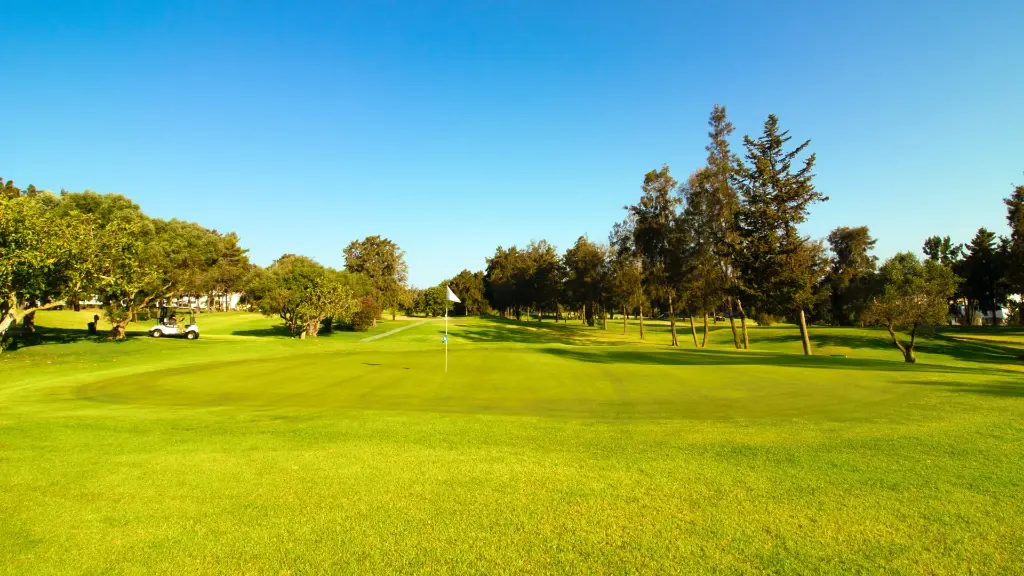 alto-golf-37.webp