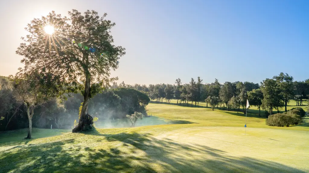 alto-golf-32.webp