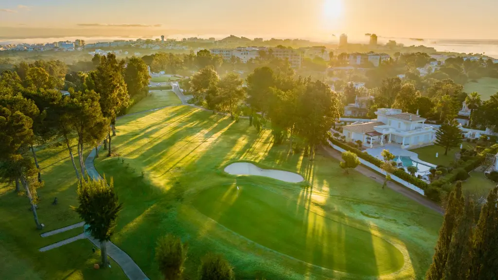 alto-golf-10.webp