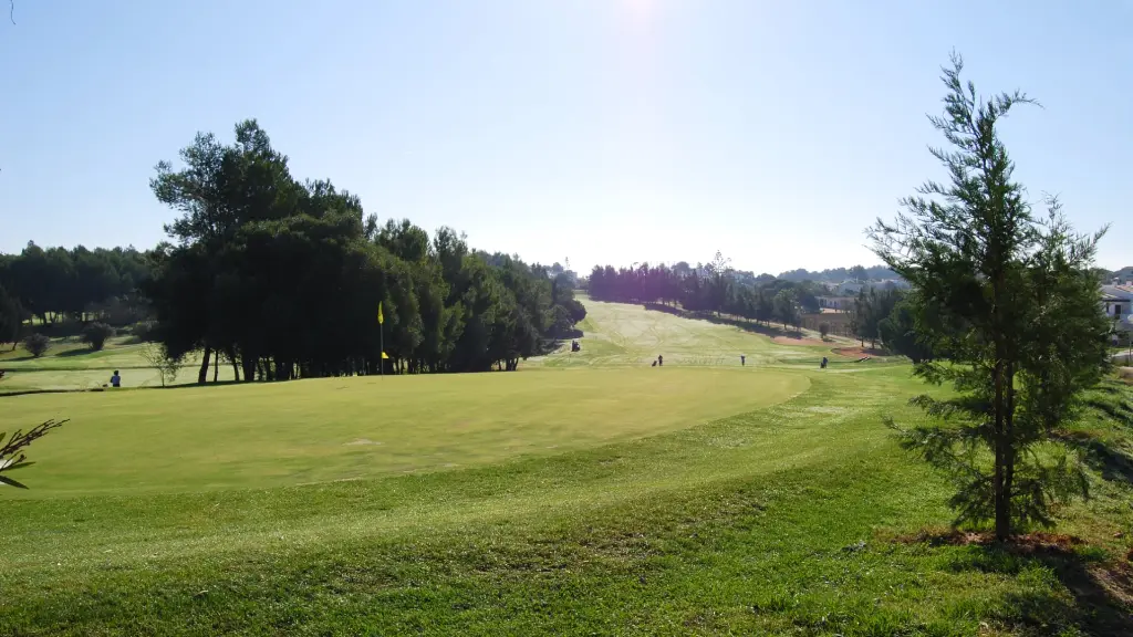 alto-golf-26.webp