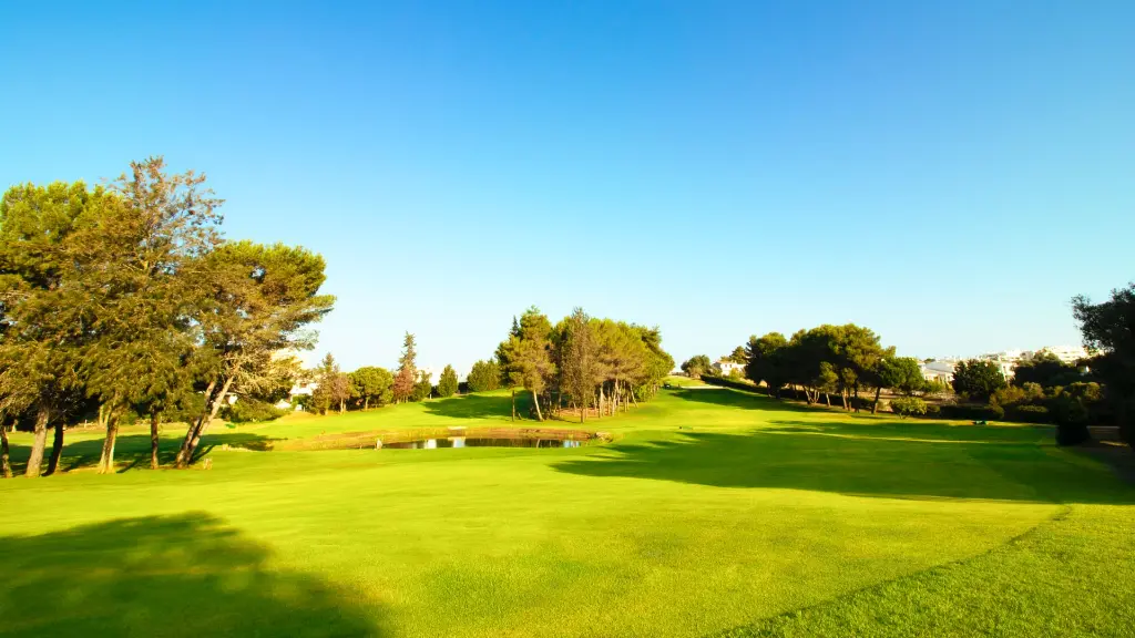alto-golf-18.webp