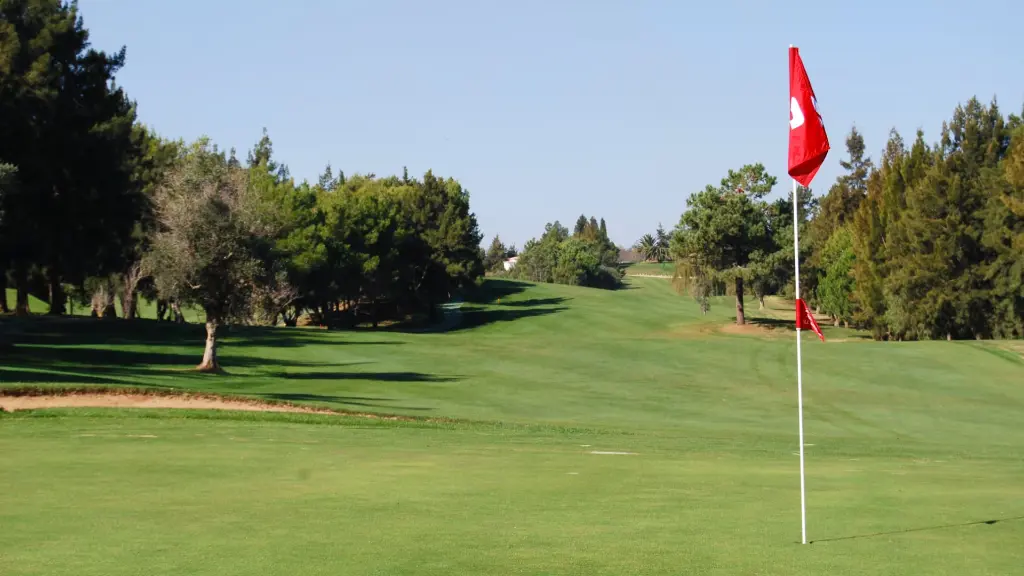 alto-golf-22.webp