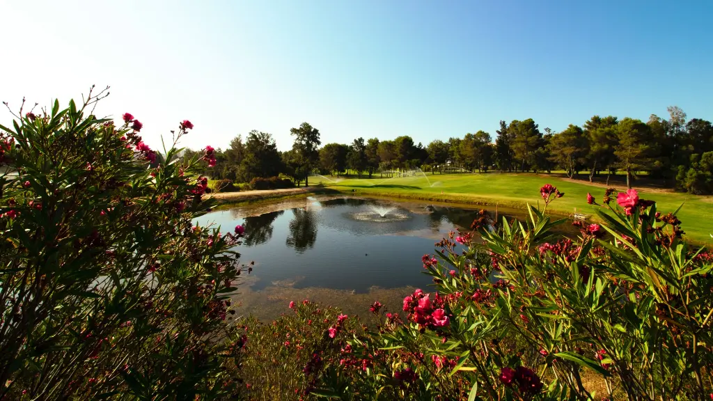 alto-golf-38.webp