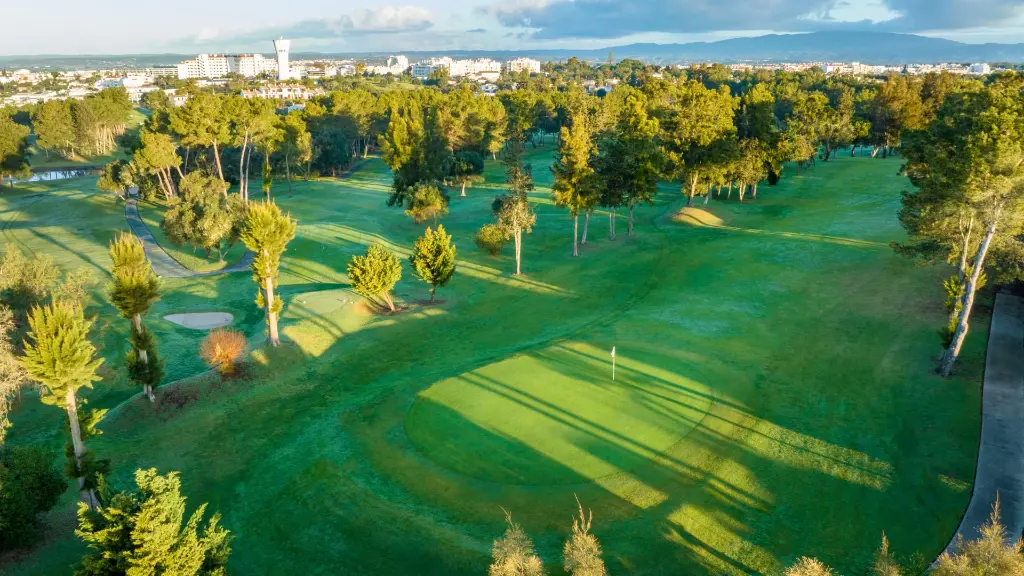 alto-golf-41.webp