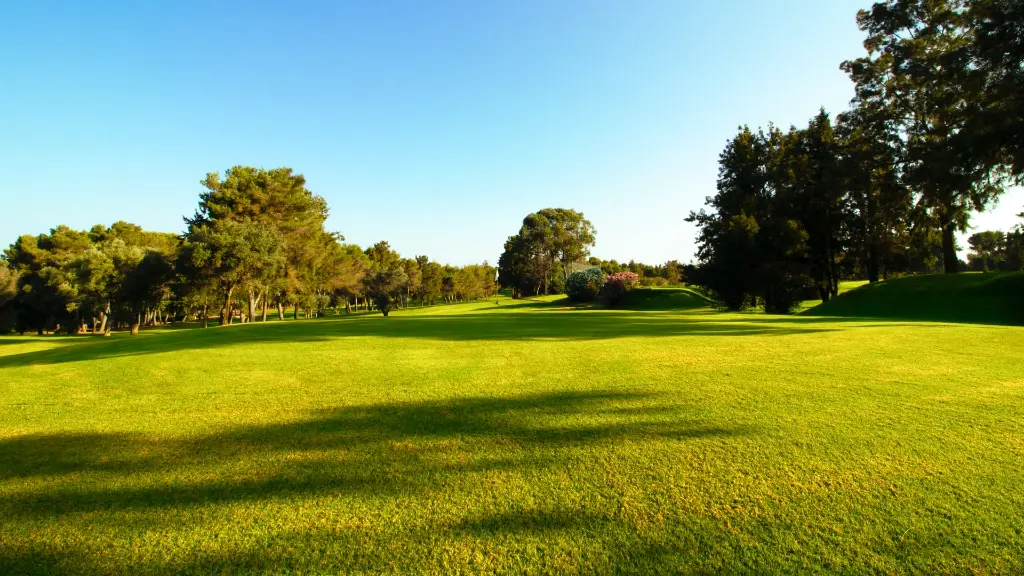 alto-golf-25.webp