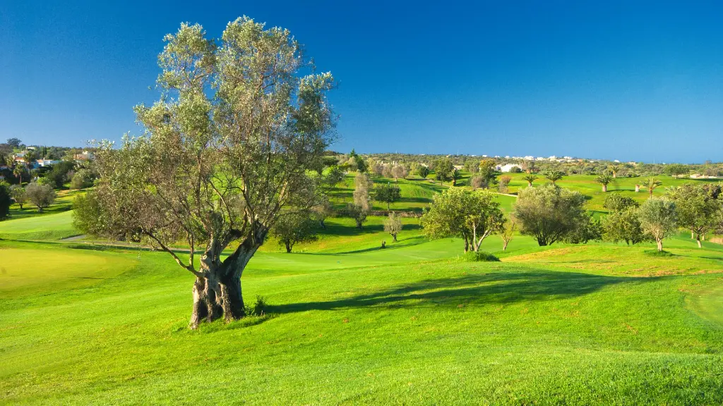 gramacho-golf-38.webp
