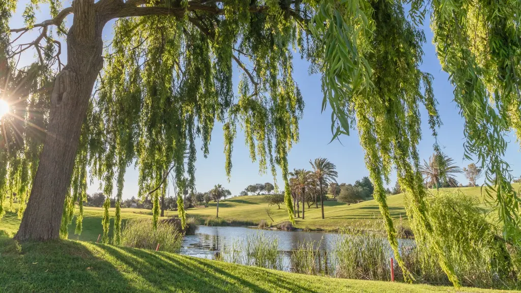 gramacho-golf-51.webp