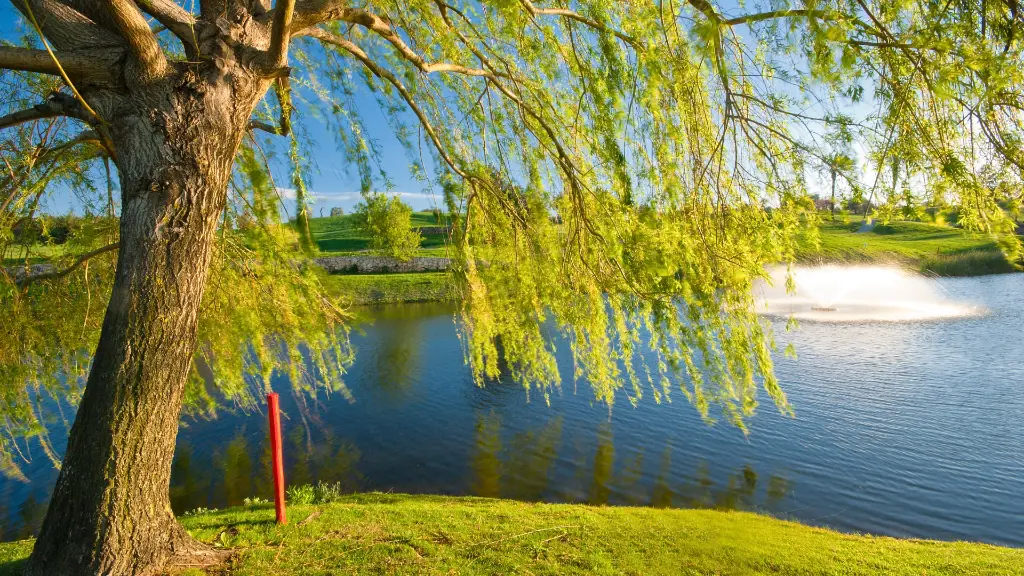 gramacho-golf-39.webp