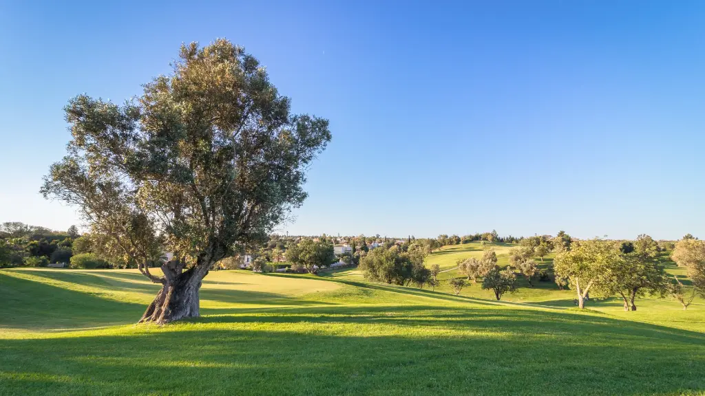 gramacho-golf-44.webp