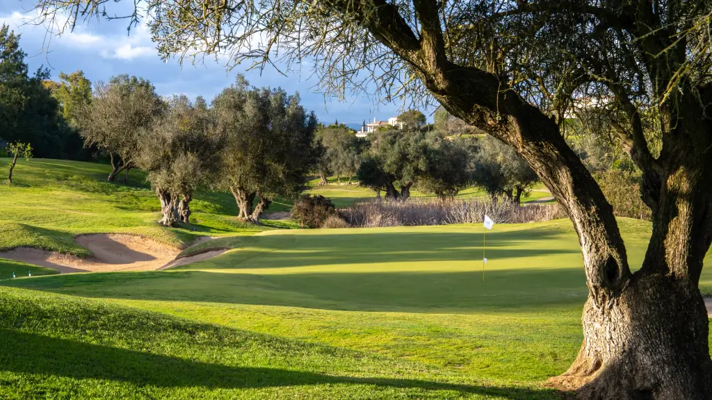 Vale-pinta-golf-31.webp