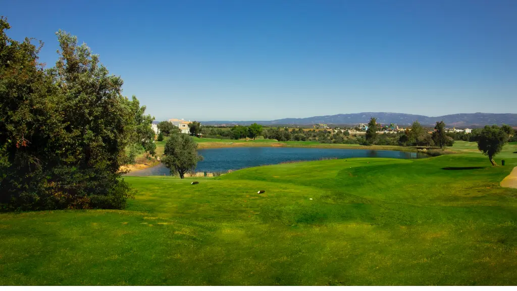 Vale-pinta-golf-24.webp