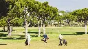 pine-cliffs-golf-4.webp