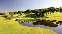 pinheiros-alto-golf-17.webp