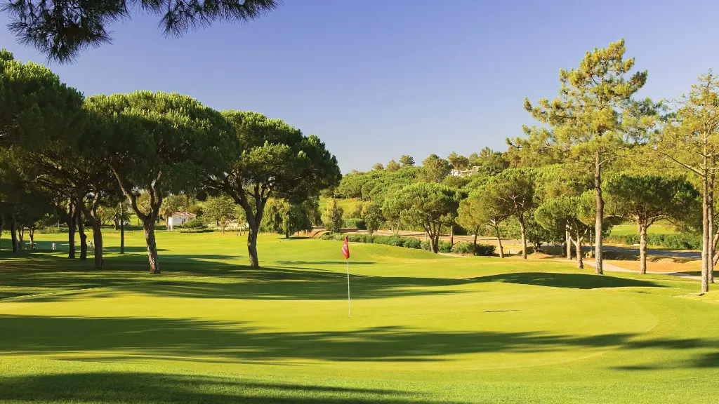pinheiros-alto-golf-10.webp