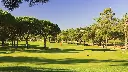 pinheiros-alto-golf-10.webp