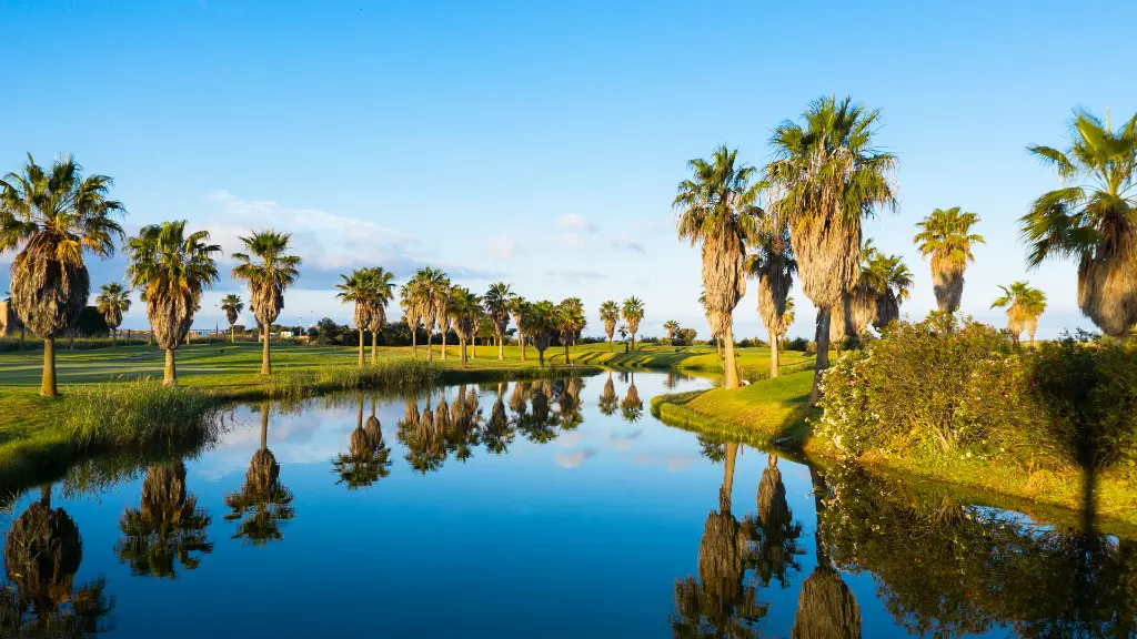 salgados-golf-8.webp