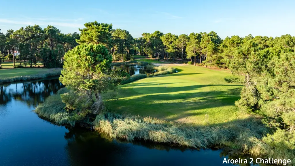 aroeira-2-challenge-13.webp