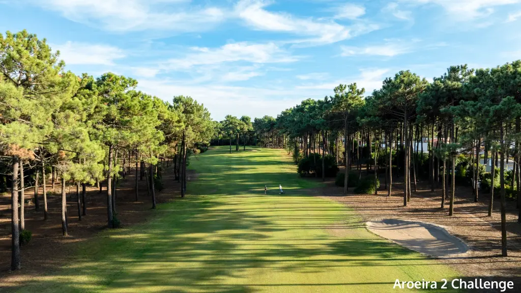 aroeira-2-challenge-11.webp