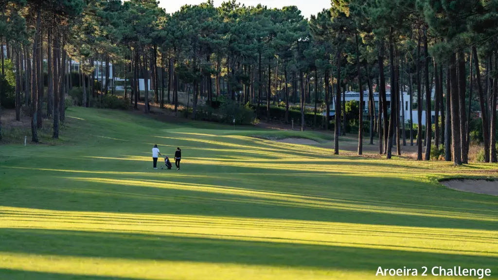 aroeira-2-challenge-1.webp