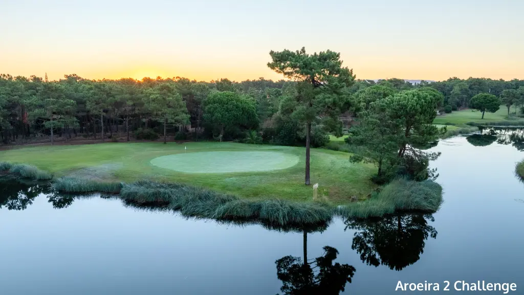 aroeira-2-challenge-5.webp