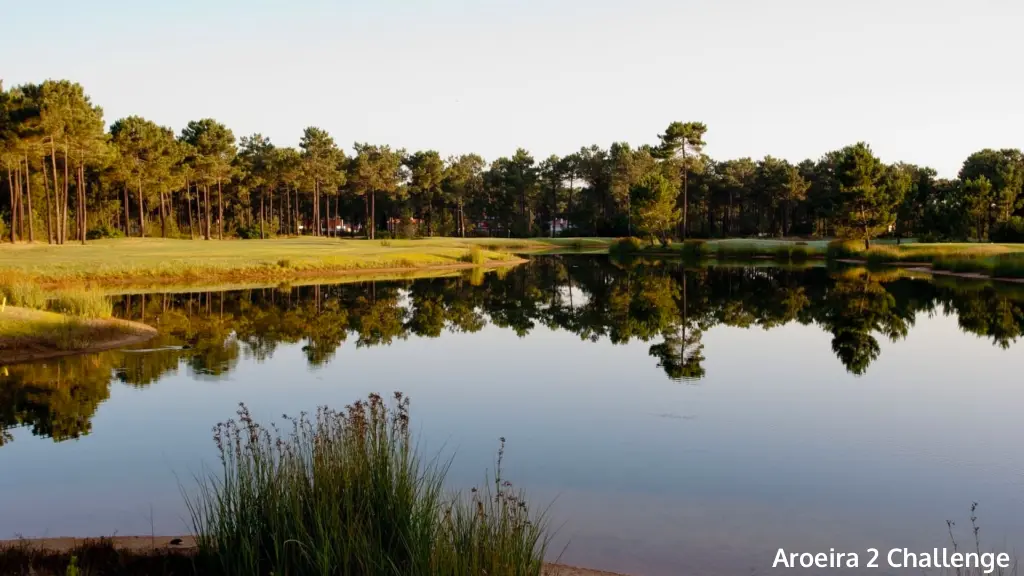 aroeira-2-challenge-19.webp