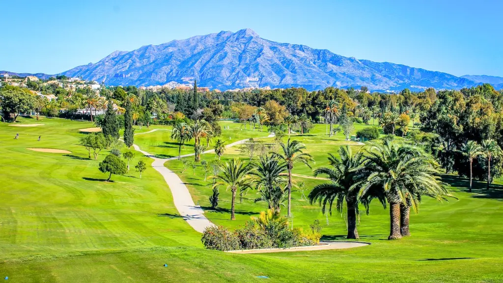 paraiso-golf-16.webp