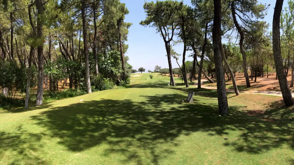 Lauro Golf 8.webp