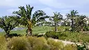 la-torre-golf-12.webp