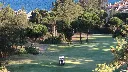 Islantilla Golf 2.webp