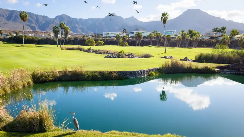 golf-costa-Adeje-2.webp