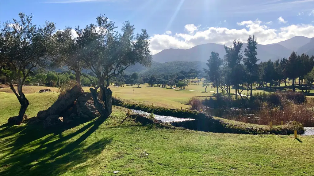 Lauro Golf 35.webp