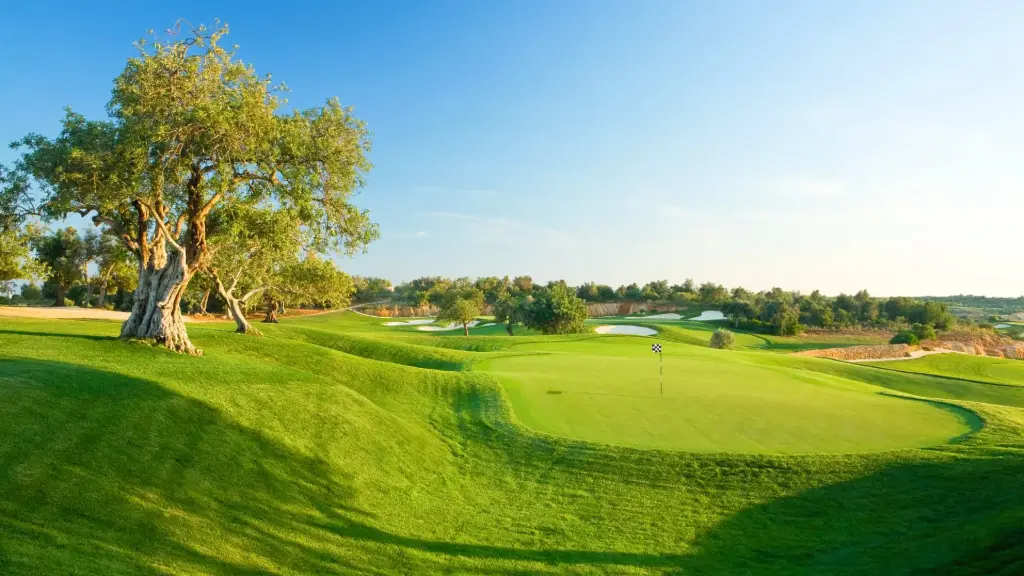 Amendoeira Faldo Course