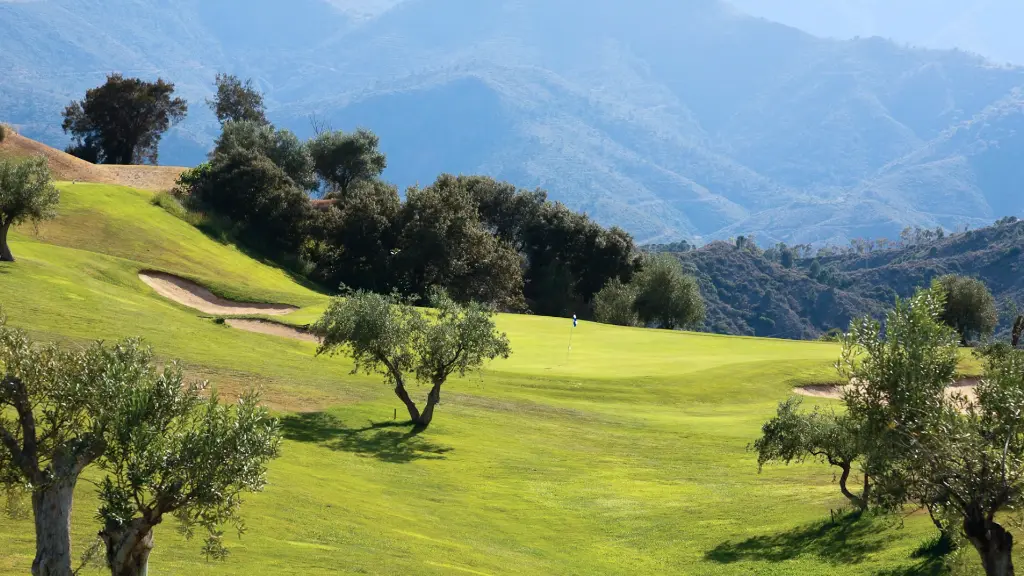 Alhaurin golf 5.webp