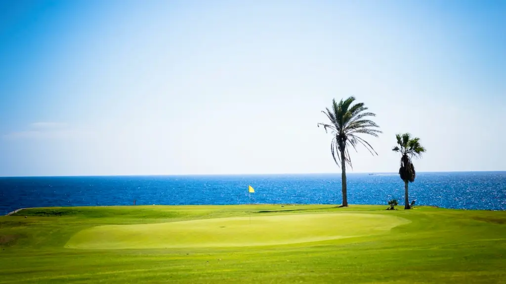 amarilla-golf-13.webp