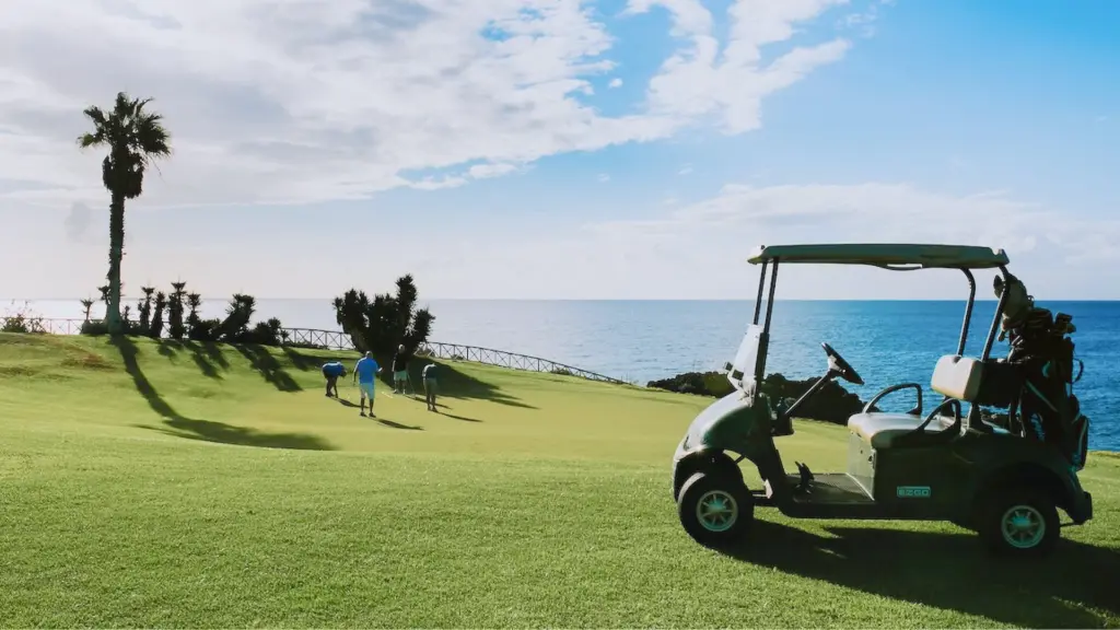 amarilla-golf-25.webp