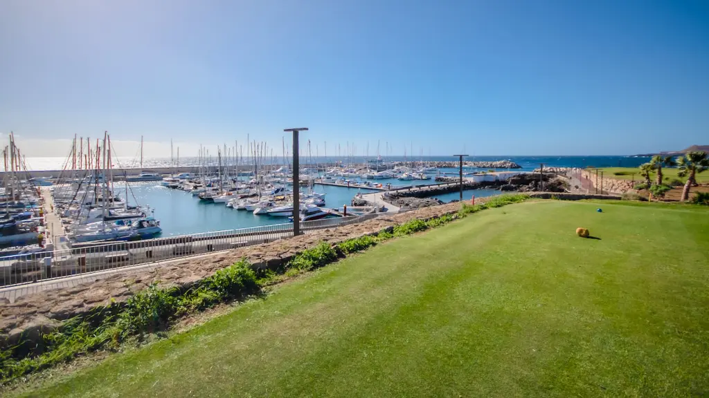 amarilla-golf-7.webp