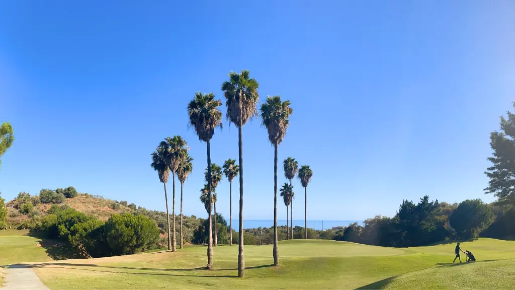 anoreta-golf-13.webp