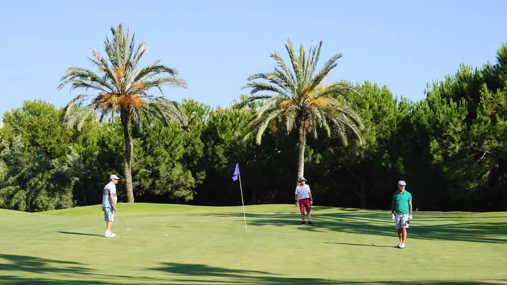 anoreta-golf-33.webp