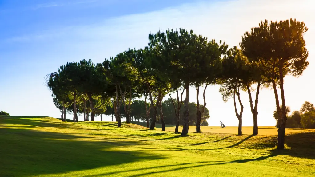 anoreta-golf-24.webp