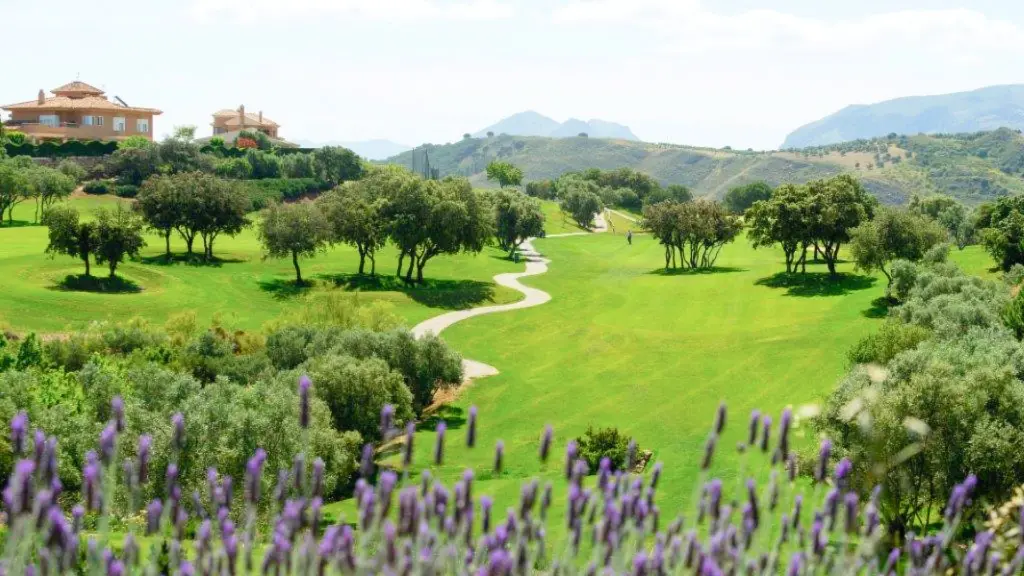 antequera-golf-12.webp