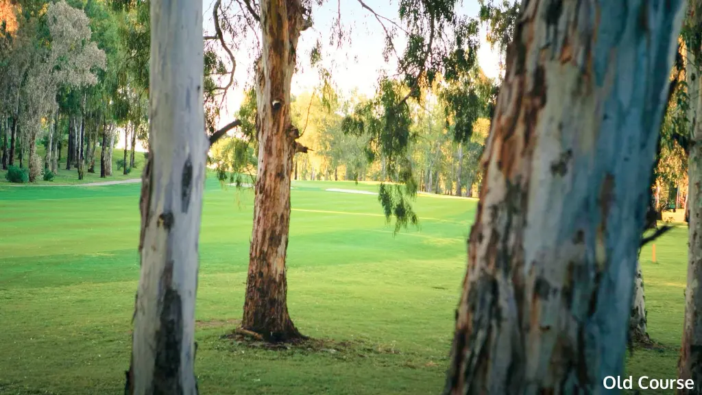 Atalaya-old-course-4.webp